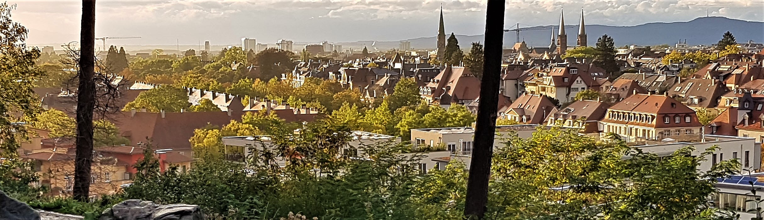 Panorama von Freiburg