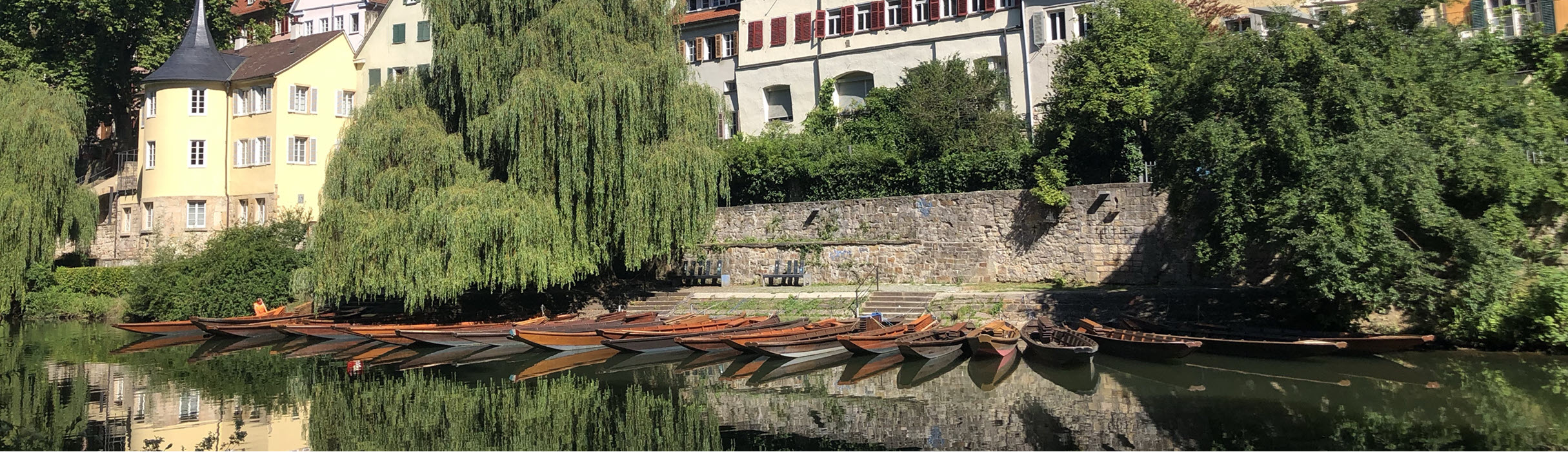 Blick auf Tübingen